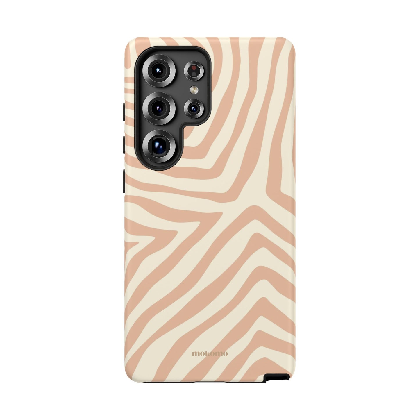 Sandy Zebra