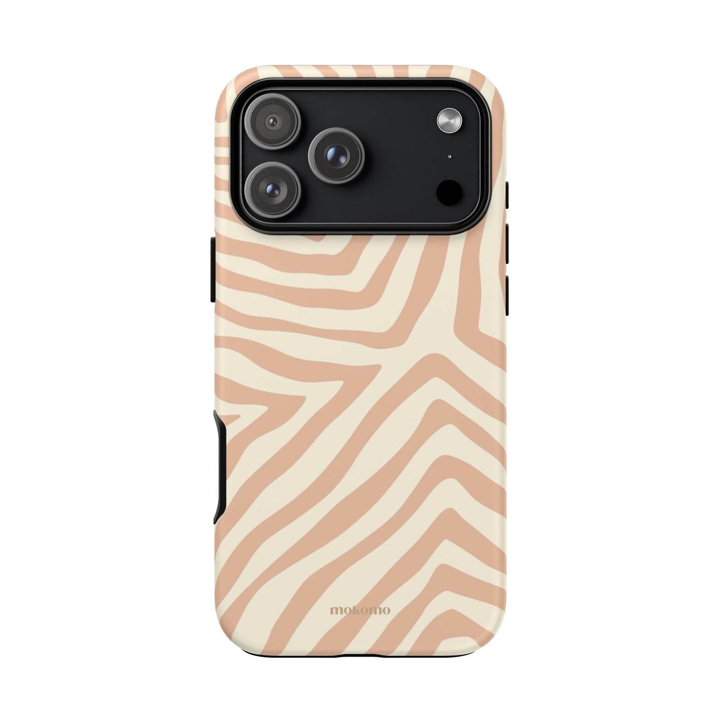 Sandy Zebra