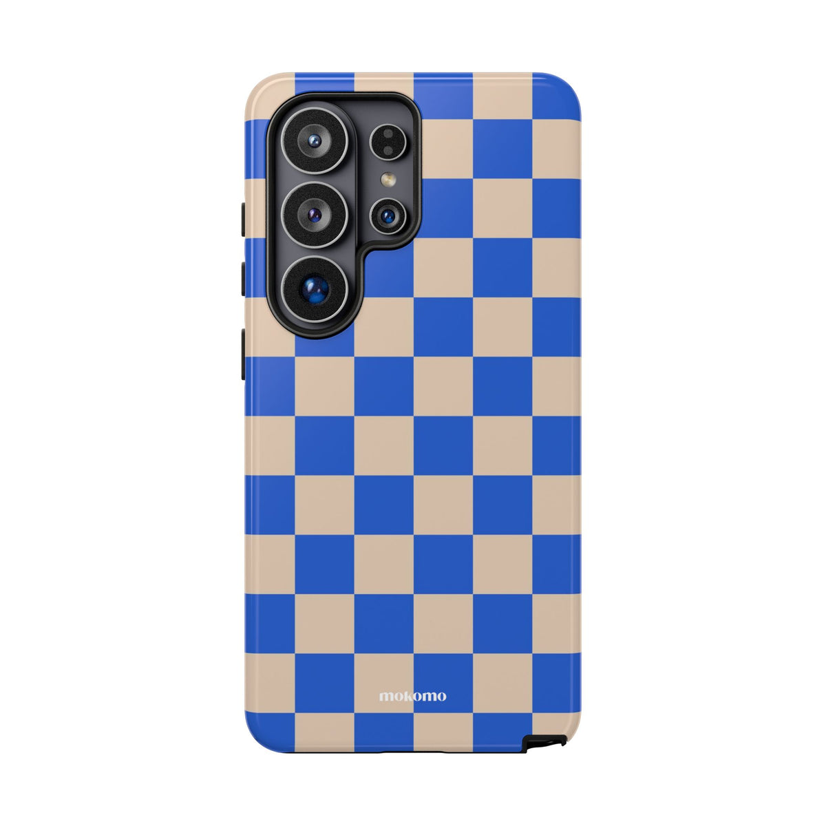 Blueberry Checks