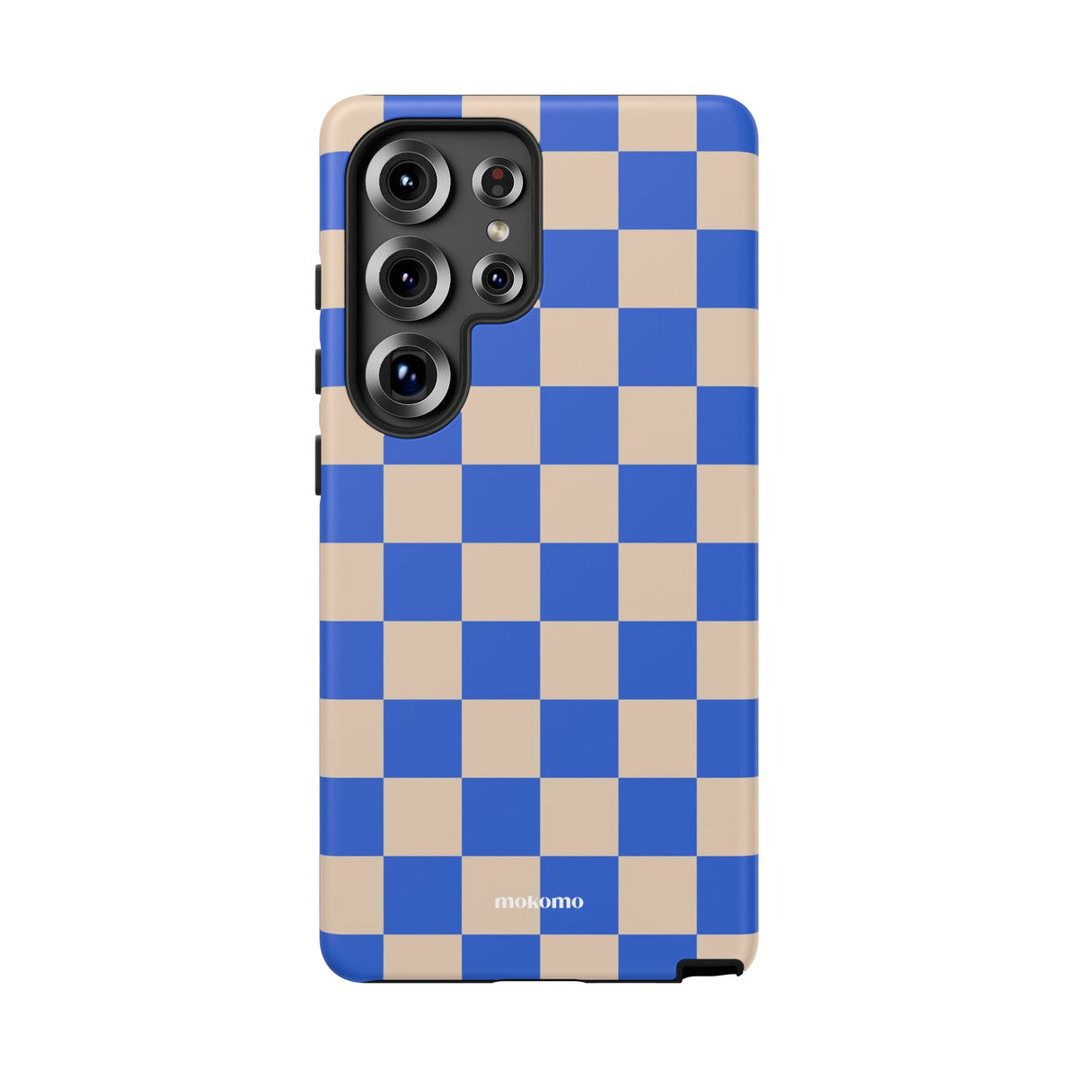Blueberry Checks