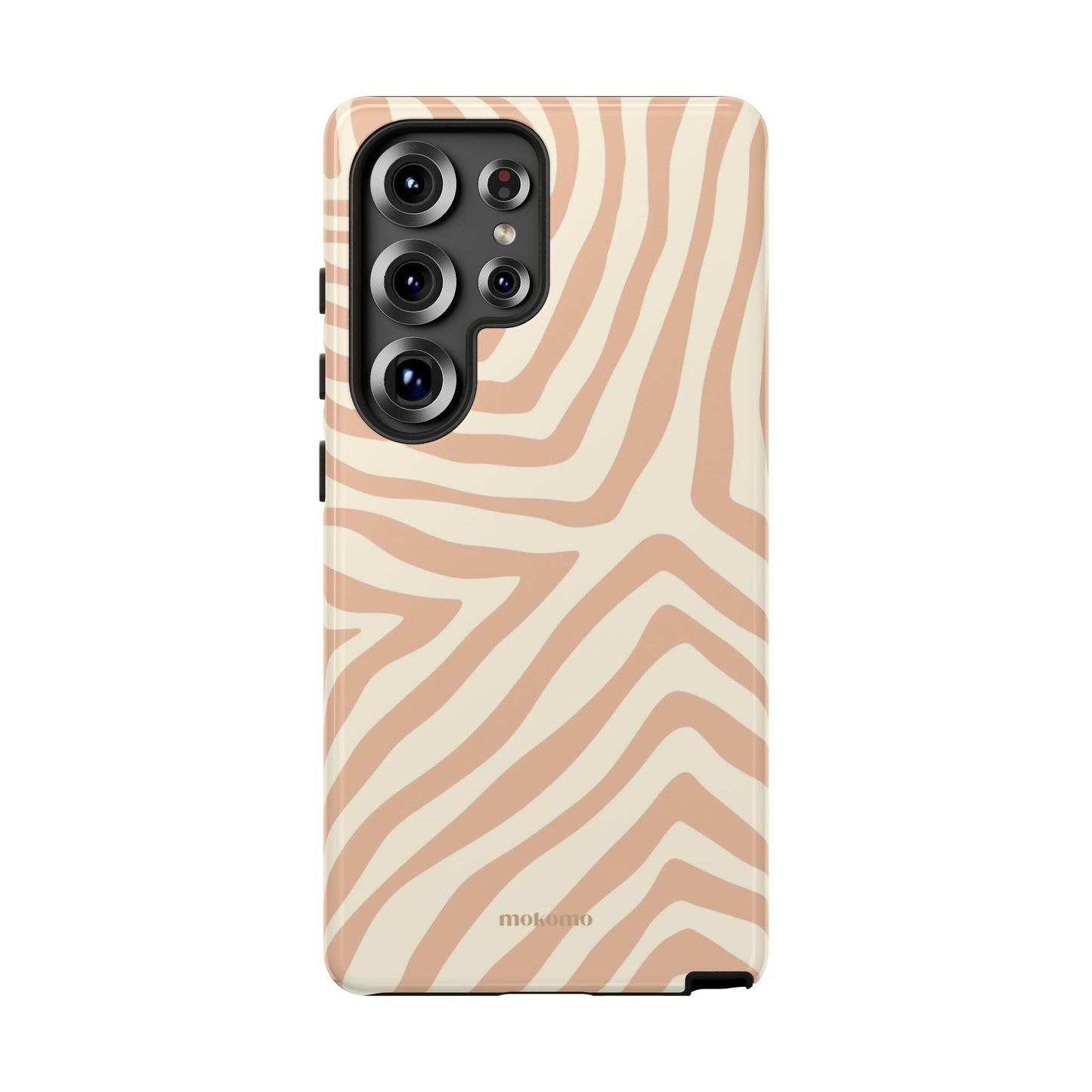 Sandy Zebra