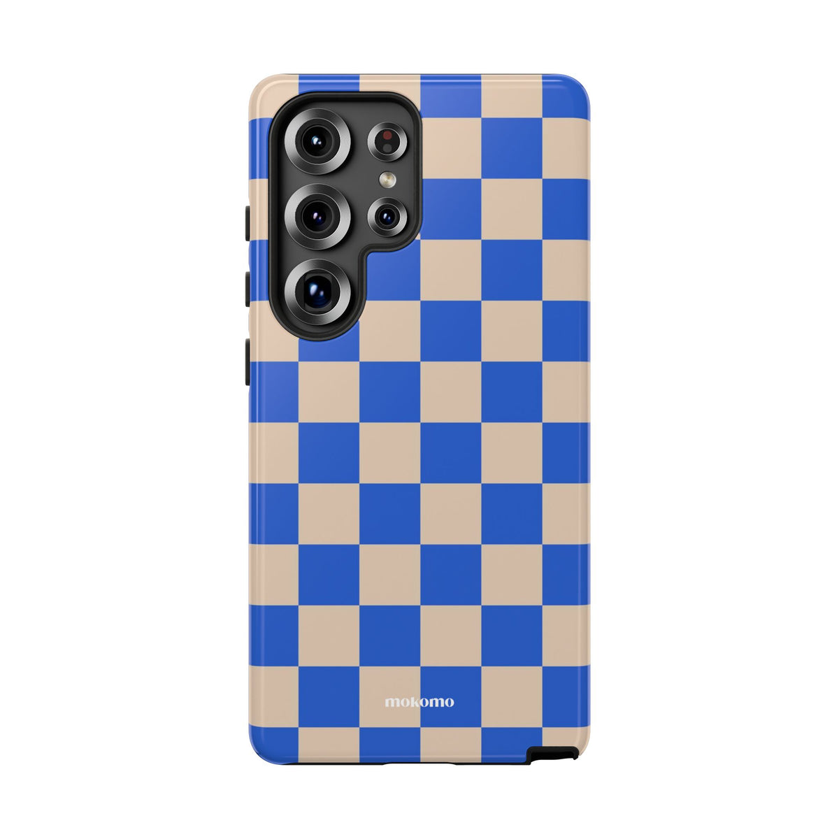 Blueberry Checks
