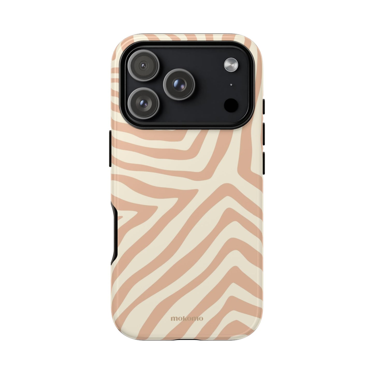 Sandy Zebra