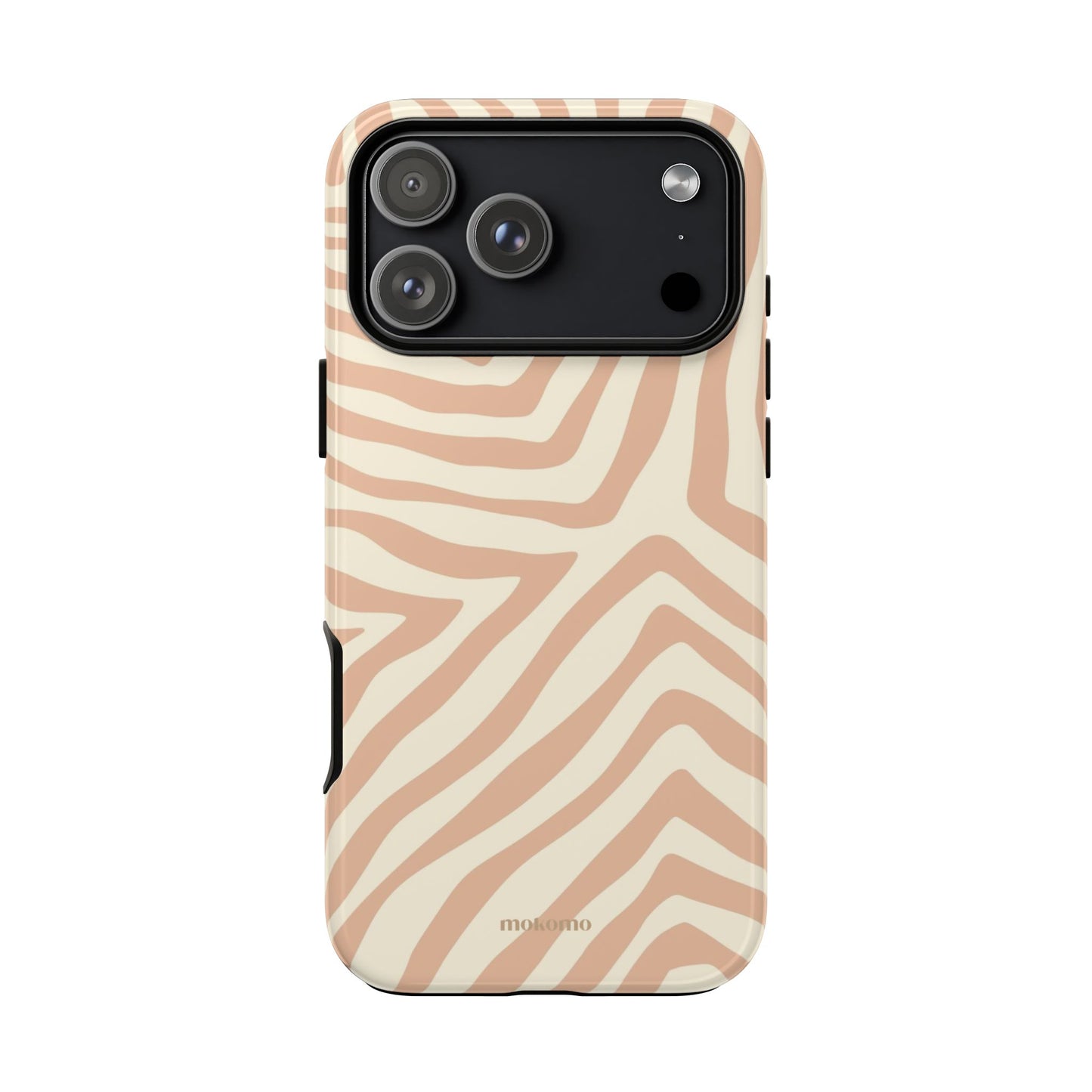 Sandy Zebra