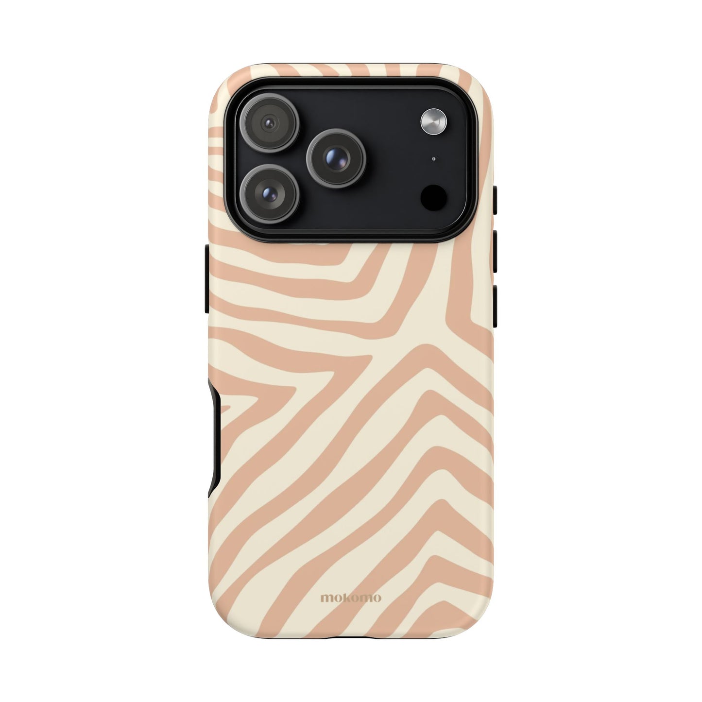 Sandy Zebra